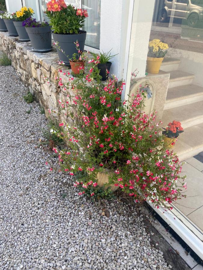 Guest house Lou Soleou *
